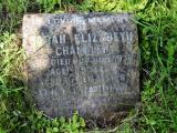image of grave number 693686